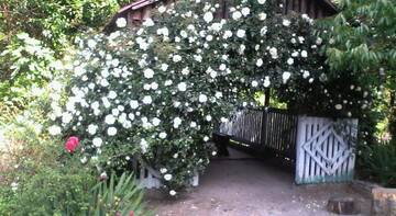 Фото Гостиница Nizhnee Makopse Guest House г. Макопсе 4