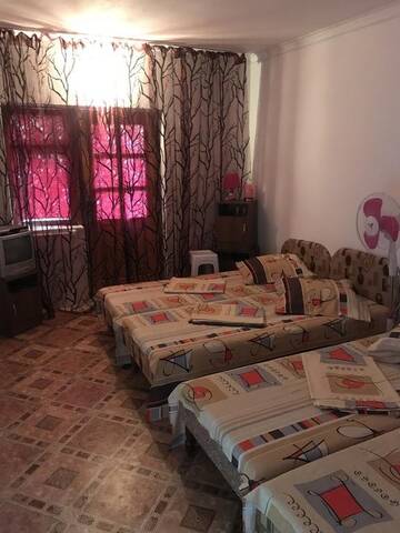 Фото номера Классический четырехместный номер Гостиница Nizhnee Makopse Guest House г. Макопсе 5